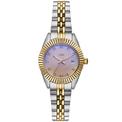 Storm Roxin Crystal Lazer Violet Watch with Violet Dial 47531/V