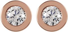 Radley Fountain Road Rose Gold Plated Sterling Silver Stone Set Stud Earrings RYJ1000